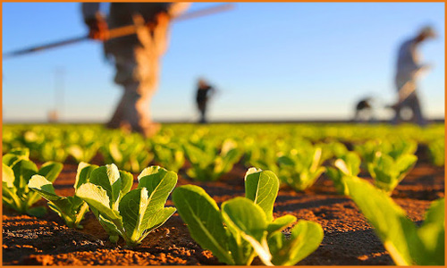 Agraria Agroalimentare e Agroindustria